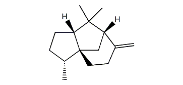 1,7-Diepi-beta-cedrene