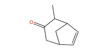 2-Methylbicyclo[3.2.1]oct-6-en-3-one