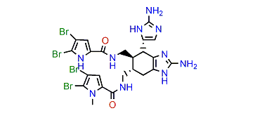 1'N-Methyl-2,2'-dibromoageliferin