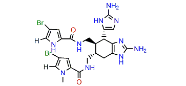 1'N-Methylageliferin
