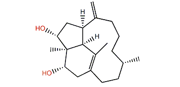 1(15),8(19)-Trinervitadiene-3a,5a-diol