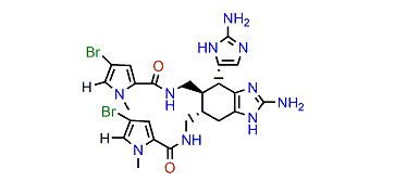 N1,N1'-Dimethylageliferin
