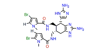 N1,N1'-Dimethylisoageliferin