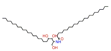 N-(1,3,4-Trihydroxydocosan-2-yl)-docosanamide
