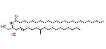 (E)-1,3-Dihydroxy-9-methylnonadec-4-en-2-yl-tricosanamide