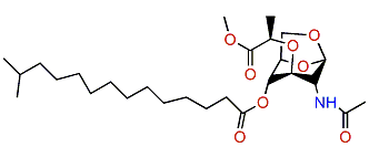 1,6-Anhydropyranose