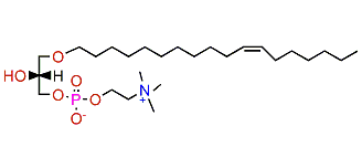 1-O-(11'Z-Octadecenyl)-glycero-3-phosphocholine