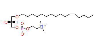 1-O-(11'Z-Hexadecenyl)-glycero-3-phosphocholine