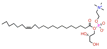 1-(13Z-Eicosaenoyl)-glycero-3-phosphocholine