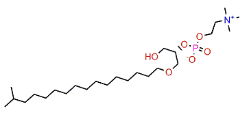 1-(15-Methylhexadecyl)-glycero-3-phosphocholine