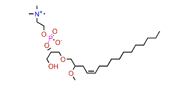 1-(2-Methoxy-4Z-hexadecenyl)-glycero-3-phosphocholine