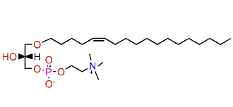 1-O-(5'Z-Octadecenyl)-glycero-3-phosphocholine