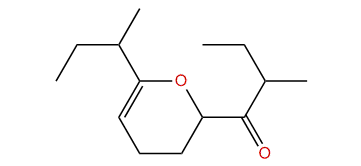 1-(6-(1-Methyl-propyl)-3,4-dihydro-2H-pyran-2-yl)-2-methyl-butanone