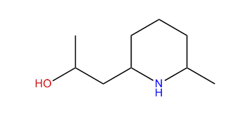 1-(6-Methyl-2-piperidyl)-propan-2-ol