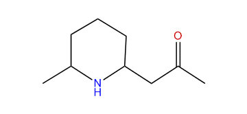 1-(6-Methyl-2-piperidyl)-propan-2-one