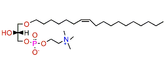 1-O-(7'Z-Octadecenyl)-glycero-3-phosphocholine