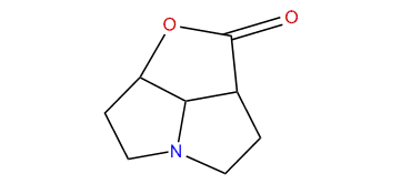 1-Carboxypyrrolizidine-7-olide