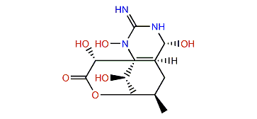 1-Hydroxy-4,4a-anhydro-8-epi-5,6,11-trideoxytetrodotoxin