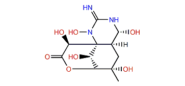 1-Hydroxy-5,11-dideoxytetrodotoxin