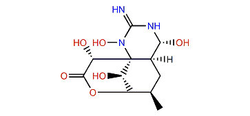 1-Hydroxy-8-epi-5,6,11-trideoxytetrodotoxin