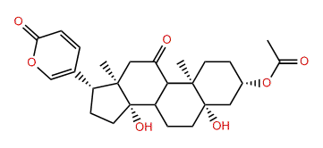 1-oxo-11-O-Acetyl-3beta-dihydroxy-5beta,12beta-bufaline