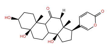 1-oxo-11-Dihydroxy-5beta,12beta-bufaline