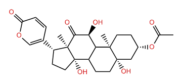 1-oxo-12-O-Acetyl-3b-dihydroxy-5b,11a-bufaline