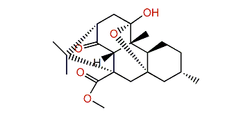 1-Oxo-9-hydroisochatancin