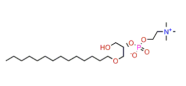 1-Tetradecylglycero-3-phosphocholine