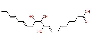 10,11,12-Trihydroxy-5,8,14,17-eicosatetraenoic acid