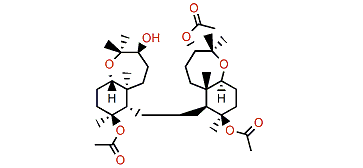 10-Acetoxy-28-hydroraspacionin