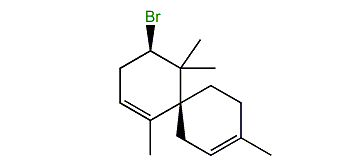 10-Bromo-2,7-chamigradiene