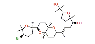 10-Epi-15,16-dehydrothyrsiferol