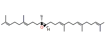 (S,S)-10,11-Epoxysqualene