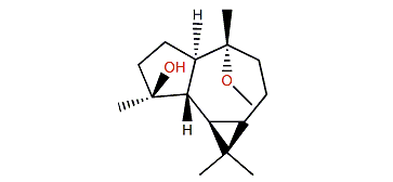 10a-Methoxy-4b-aromadendranol