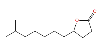 10-Methylundecan-4-olide