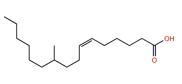 (Z)-10-Methyl-6-hexadecenoic acid