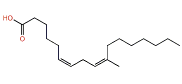 (Z,Z)-10-Methyl-6,9-heptadecadienoic acid