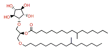 10-Methylhexadecanoylcrasseride