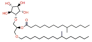 10-Methylpentadecanoylcrasseride