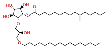 10-Methylpentadecanoylisocrasseride