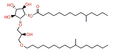 10-Methyltetradecanoylisocrasseride