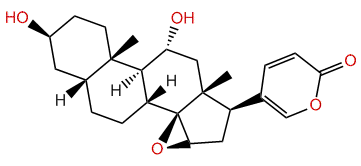 11-alpha-Hydroxyresibufagenin