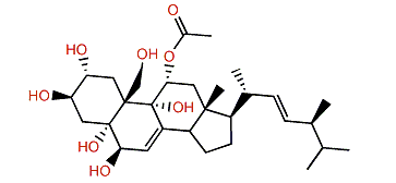 11-Acetoxy-24-methylcholesta-7,22-dien-2a,3b,5a,6b,9a,19-hexol