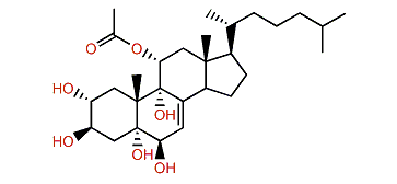 11-Acetoxycholest-7-en-2a,3b,5a,6b,9a-pentol