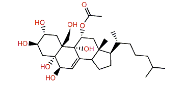 11-Acetoxycholest-7-en-2a,3b,5a,6b,9a,19-hexol