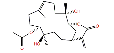 11-Acetylsinuflexolide