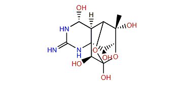 11-Deoxytetrodotoxin