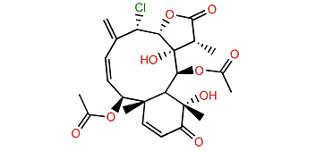 11-Hydroxyptilosarcenone