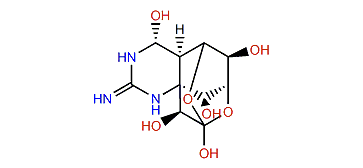 11-Nortetrodotoxin-6(R)-ol